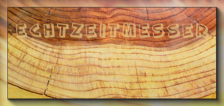 baumzeit